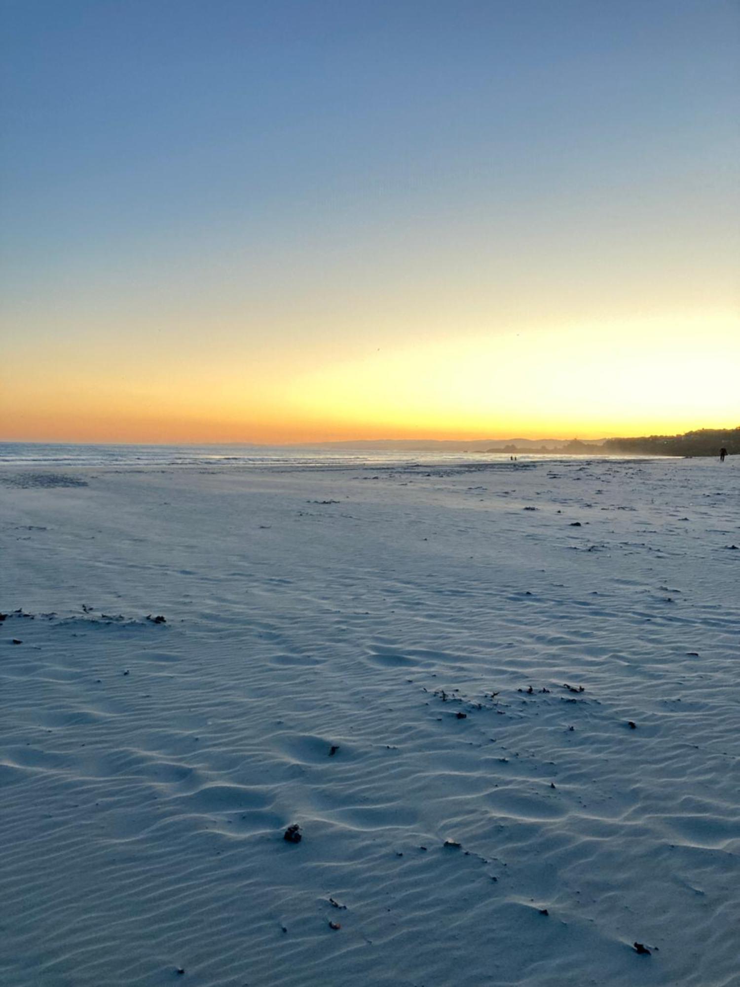 Stay In School By The Sea Dunedin Buitenkant foto